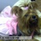 con su traje de princesa>